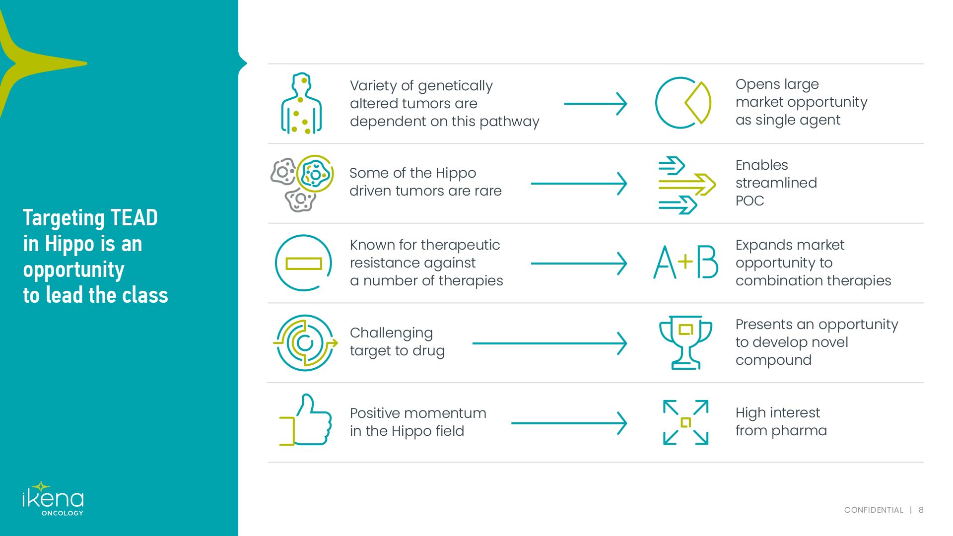 This slide outlines the opportunity of targeting TEAD in the HIPPO pathway for cancer treatment. It highlights that a variety of genetically altered tumors are dependent on this pathway, some HIPPO-driven tumors are rare, it's known for therapeutic resistance, presents an opportunity for novel compounds, and there is high interest from pharma.