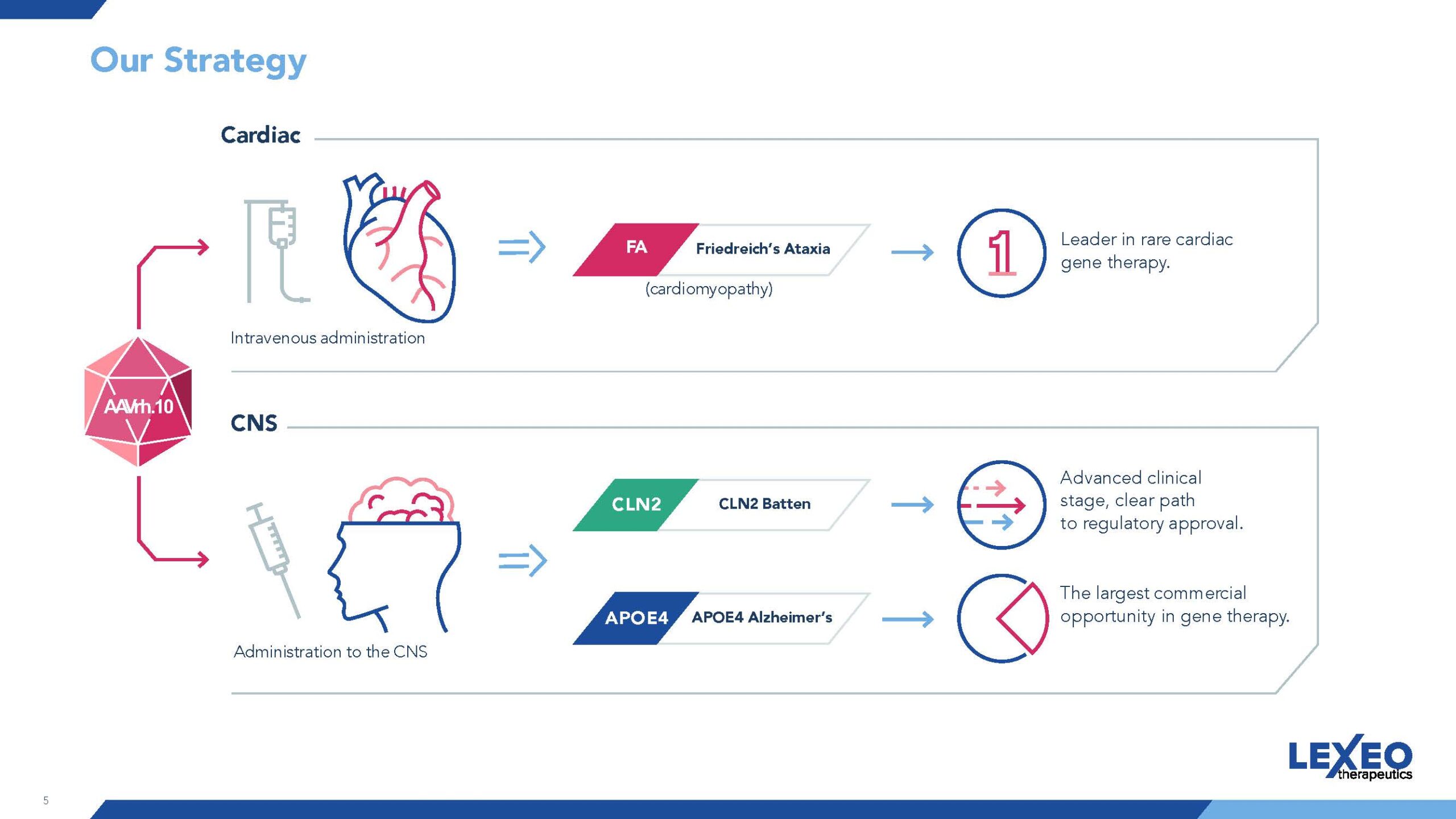 This slide from Lexeo Therapeutics' investor deck illustrates their strategy, highlighting programs in cardiac (Friedreich's Ataxia) and CNS (CLN2 Batten, APOE4 Alzheimer's) using intravenous and CNS administration of their AAVrh.10 platform.
