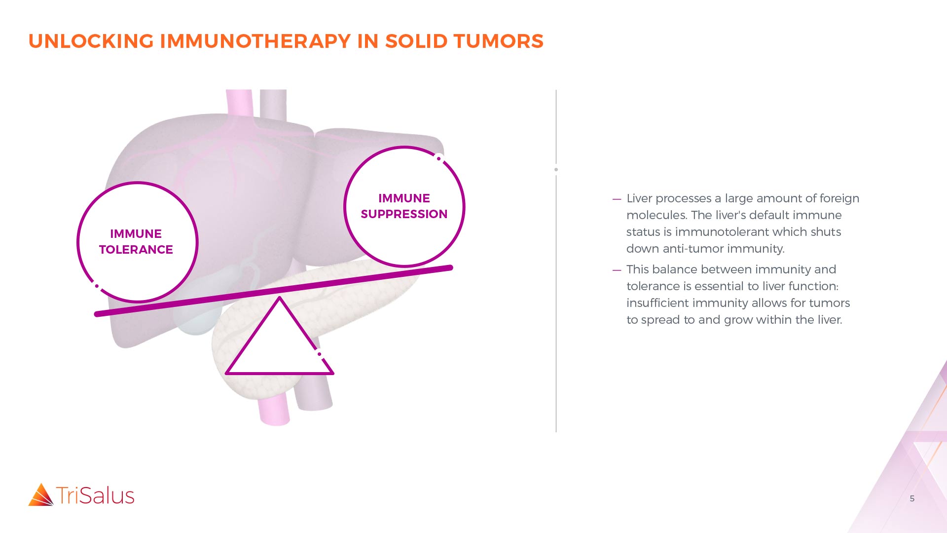 This slide illustrates the balance between immune tolerance and immune suppression in the liver and pancreas, explaining how the liver's natural tolerogenic environment can allow tumors to grow. This sets the stage for how Trisalus aims to unlock immunotherapy in these 'cold' solid tumors.