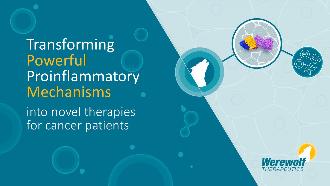 This image presents Werewolf Therapeutics' mission of 'Transforming Powerful Proinflammatory Mechanisms into novel therapies for cancer patients.' It features abstract representations of molecules and immune cells, alongside their logo.