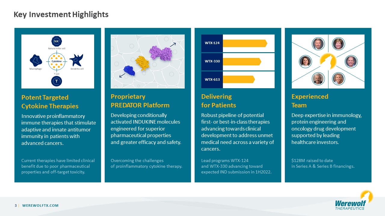 This slide outlines key investment highlights for Werewolf Therapeutics, including their potent targeted cytokine therapies, proprietary PREDATOR platform, a robust pipeline delivering for patients, and their experienced team. Visuals represent immune cell activation, the drug platform, clinical development timelines, and the leadership team.