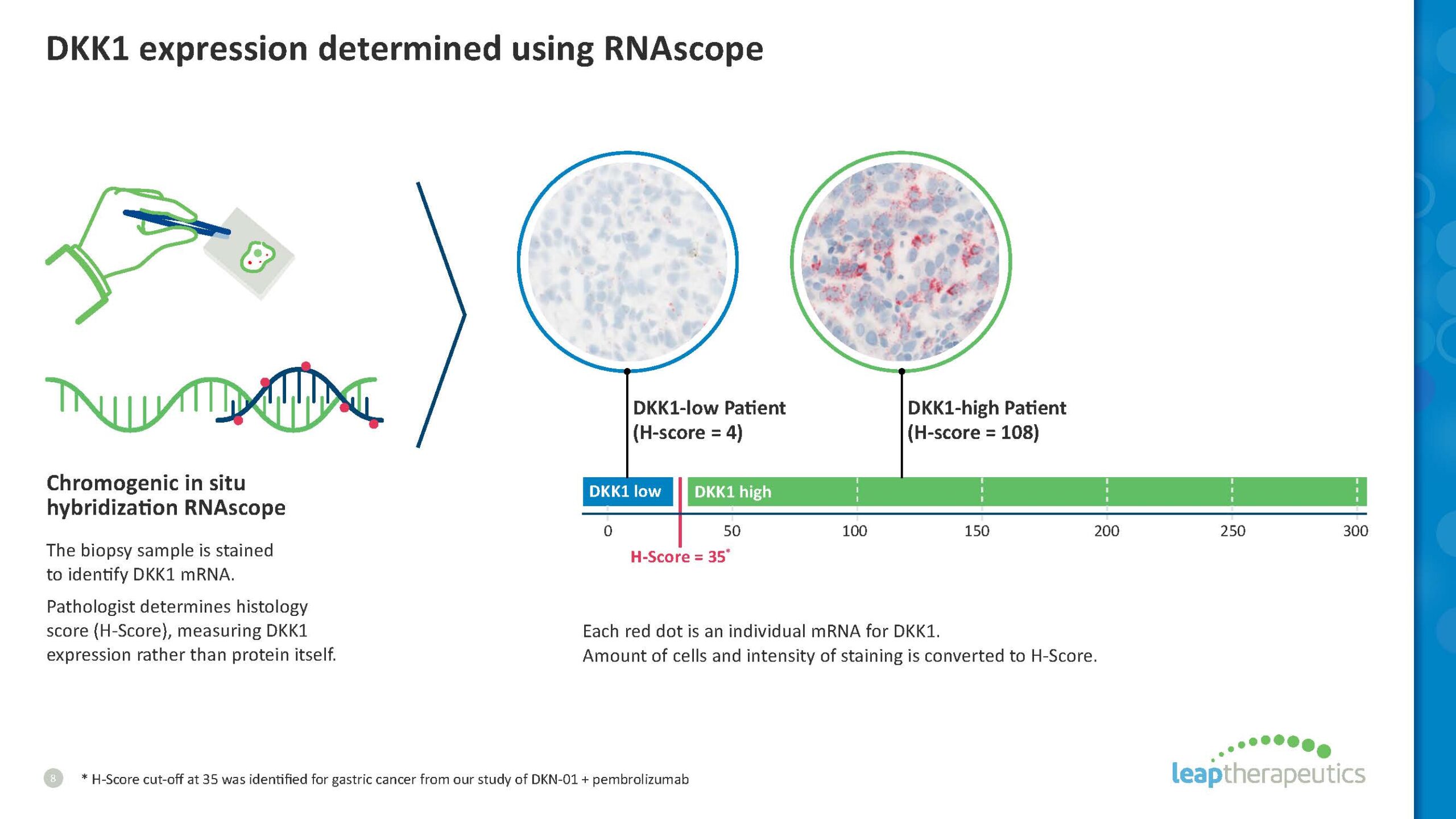 This slide from Leap Therapeutics illustrates how DKK1 expression is determined using RNAscope, showing examples of low and high DKK1 patient samples and explaining the methodology. This supports the rationale for targeting DKK1 in specific patient populations.