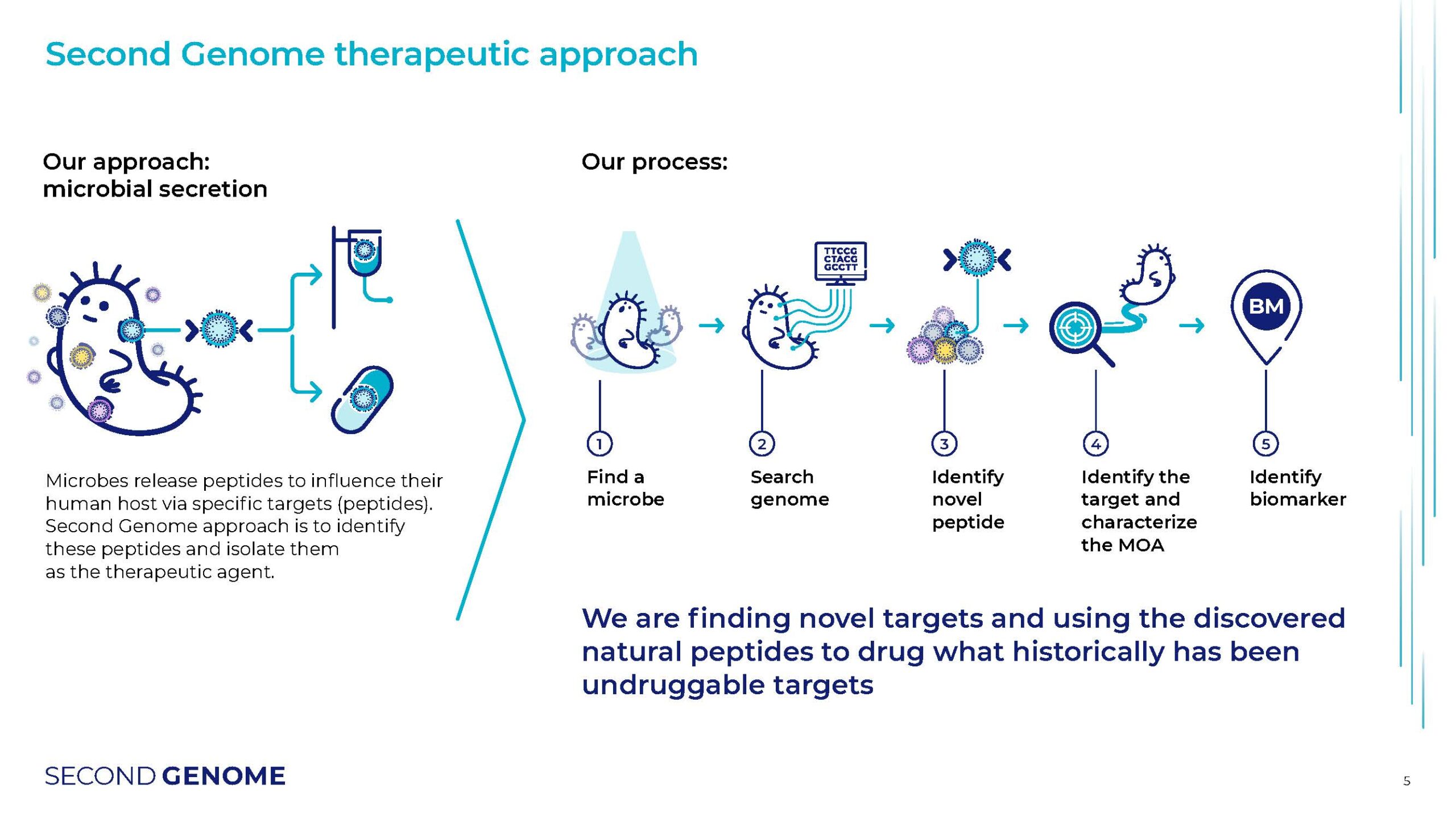his slide outlines Second Genome's therapeutic approach, focusing on microbial secretion. It illustrates how microbes release peptides that influence the human host and their process of identifying novel microbes, searching their genomes, identifying novel peptides, characterizing their mechanism of action, and identifying biomarkers.