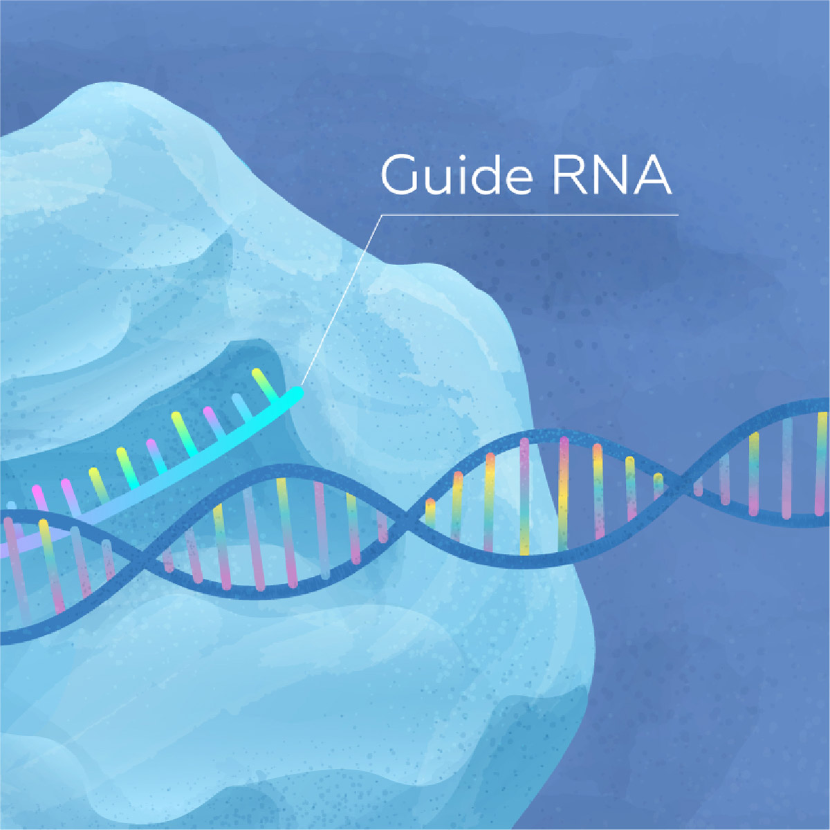 CRISPR-CAS9-MOA