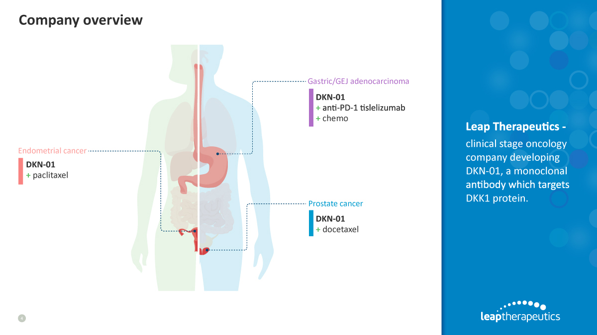 This slide from Leap Therapeutics provides a company overview, highlighting their focus as a clinical-stage oncology company developing DKN-01, a monoclonal antibody targeting the DKK1 protein. It illustrates potential applications of DKN-01 in various cancers like endometrial cancer (with paclitaxel), gastric/GEJ adenocarcinoma (with anti-PD-1 tislelizumab and chemo), and prostate cancer (with docetaxel).