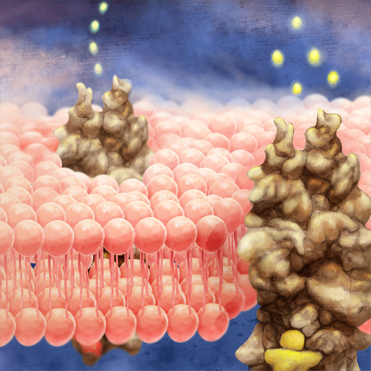 cystic-fibrosis-proteins-MOA