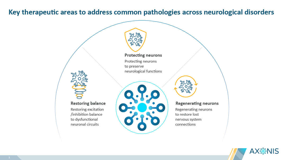 This slide from Axonis outlines their key therapeutic areas to address common pathologies across neurological disorders. These include 'Protecting neurons' to preserve neurological functions, 'Restoring balance' of excitation/inhibition in dysfunctional neuronal circuits, and 'Regenerating neurons' to restore lost nervous system connections. A central graphic with interconnected nodes visually represents their approach to CNS therapeutics.