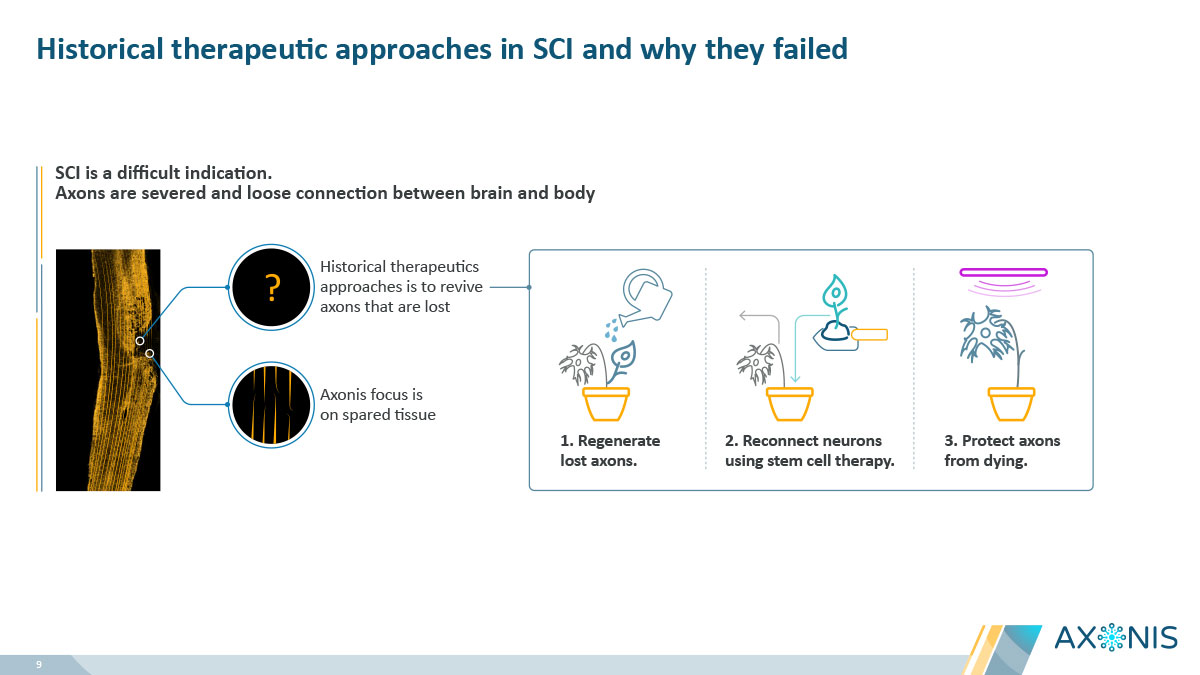 This slide discusses historical therapeutic approaches in Spinal Cord Injury (SCI) that focused on reviving lost axons and why they have faced challenges. It contrasts this with Axonis's focus on spared tissue, illustrating potential strategies like regenerating lost axons, reconnecting neurons using stem cell therapy, and protecting axons from dying.