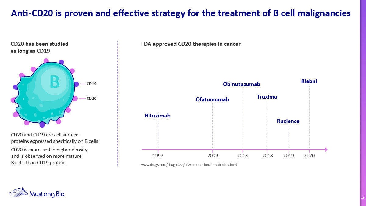 This slide, from Mustang Bio's investor deck, highlights anti-CD20 as a proven and effective strategy for treating B cell malignancies. It includes an illustration of a B cell expressing CD19 and CD20, and a timeline of FDA-approved CD20 therapies in cancer.