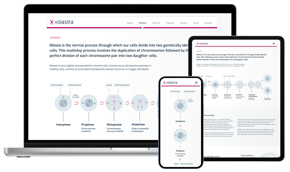 This image shows the 'Science' section of Volastra's website on different devices. It includes an explanation of mitosis and an illustration of the stages of cell division, connecting this fundamental process to their research on chromosomal instability in cancer.