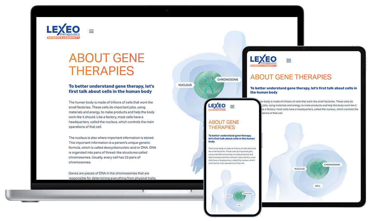 This slide, part of Lexeo Therapeutics' educational content on their patient website, explains gene therapies by first discussing cells in the human body, including the nucleus and chromosomes. Illustrations of a cell, nucleus, and chromosome are included.