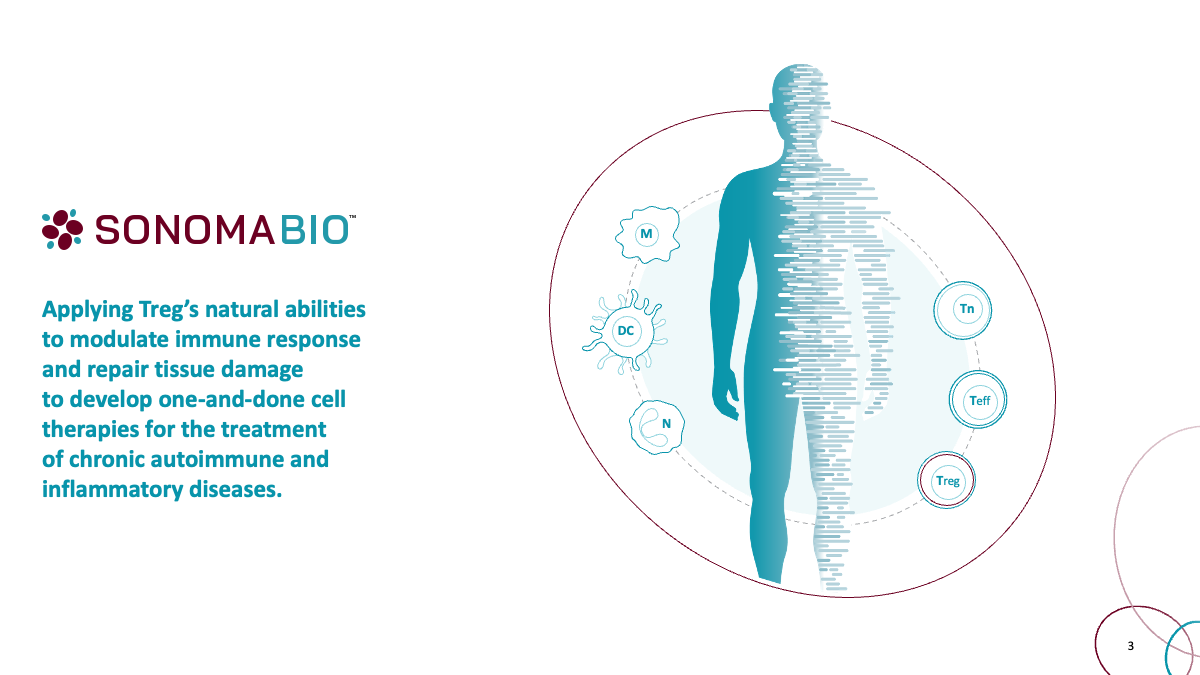 Title slide from Sonoma Bio's investor deck introducing their focus on applying the natural abilities of regulatory T cells (Tregs) to modulate immune response and repair tissue damage. The illustration depicts immune cell interactions within the human body.