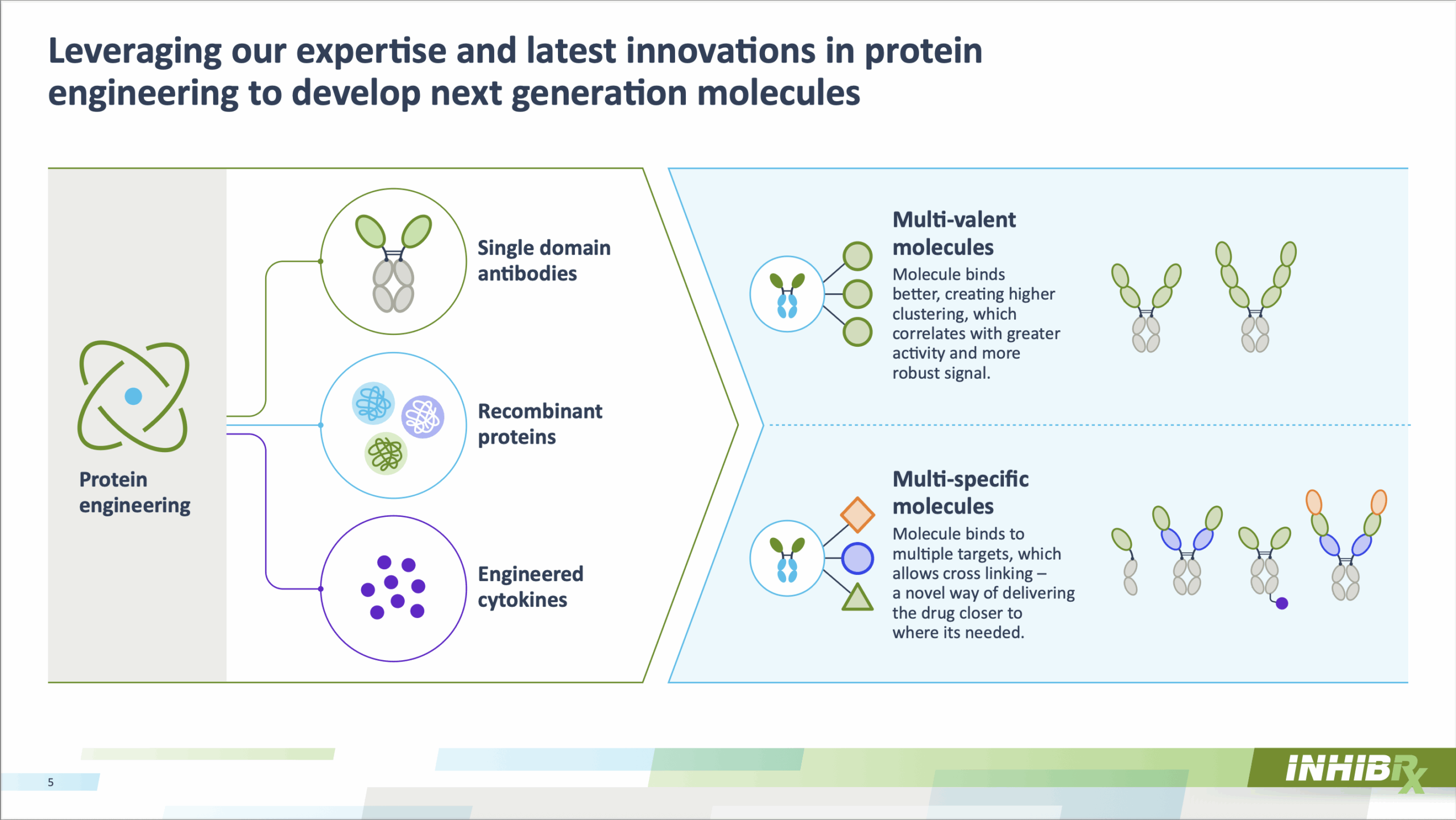 This slide from Inhibrx illustrates their approach to developing next-generation molecules through protein engineering. It highlights their work with single-domain antibodies, recombinant proteins, and engineered cytokines, leading to multi-valent and multi-specific molecules designed for enhanced activity and targeted drug delivery.