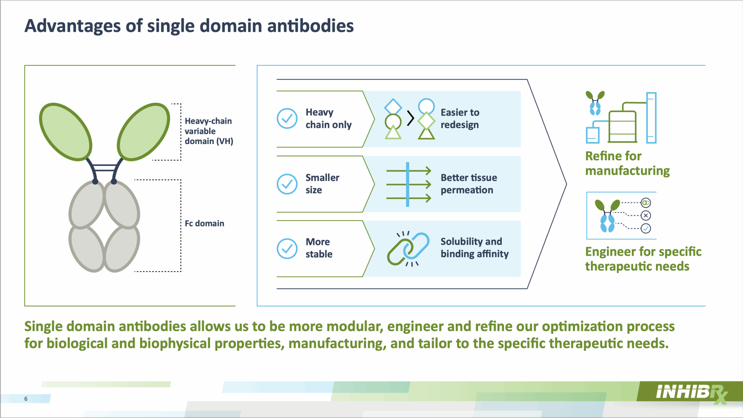 This slide details the advantages of single-domain antibodies, which are central to Inhibrx's platform. It highlights their smaller size, the fact that they are heavy-chain only, their stability, and how these properties lead to better tissue permeation, easier redesign, and enhanced solubility and binding affinity, ultimately allowing for modular engineering and refined optimization for specific therapeutic needs and manufacturing.