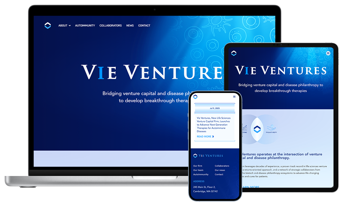 VIE_VENTURES_web_example